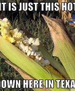 Image result for SB 17 Texas Funny