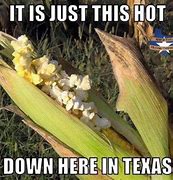 Image result for Texas Boots Memes