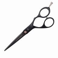 Image result for Hair Scissors Professional