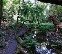 Image result for Waterfall Country Car Parks