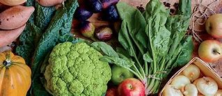 Image result for Low Carbon Diet