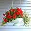 Image result for Unique Hanging Flower Baskets