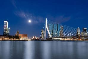 Image result for Rotterdam Wallpaper