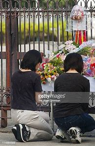 Image result for Osaka Elementary School Massacre