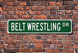 Image result for Wrestling Belt