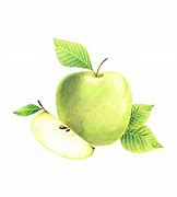 Image result for Hand Drawn Apple