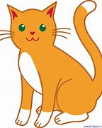 Image result for Dead Orange Cat