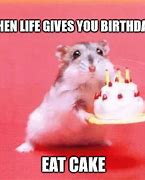 Image result for Celebrate Birthday Meme