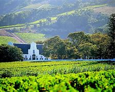Image result for Winelands Tour Cape Town