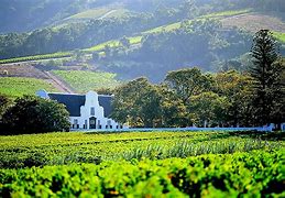 Image result for Wine Routes Cape Town
