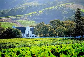 Image result for Constantia South Africa