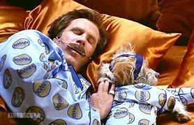 Image result for Anchorman Baxter Pajamas