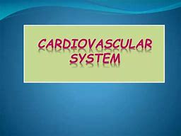 Image result for Common Cardiovascular System Diseases