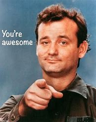 Image result for Bill Murray You Are Awesome Meme