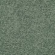 Image result for Stainmaster Carpet Colors