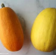 Image result for Spaghetti Squash Types