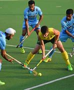 Image result for India National Sport