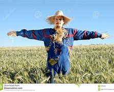 Image result for Human Scarecrow Jake Sullivan