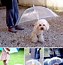 Image result for Funny Inventions