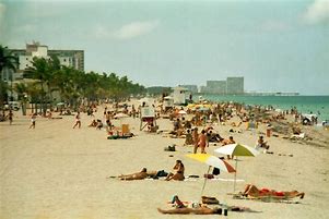 Image result for Florida 1980