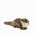 Image result for Palm Pals Otter