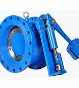 Image result for Butterfly Check Valve