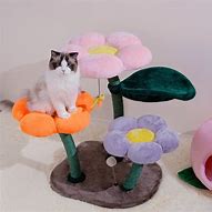 Image result for Polly Cat Tower