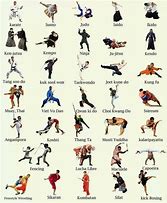 Image result for Different Styles of Kung Fu