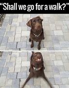 Image result for Low Angle Walk Meme