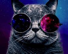 Image result for Space Cat Art