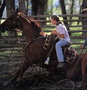 Image result for Horse Whisperer Grace