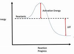 Image result for Activation Energy Graph