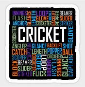 Image result for Make Sentences with Words Cricket