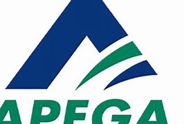 Image result for apega