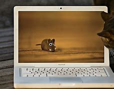 Image result for New Laptop Meme