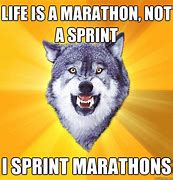 Image result for Marathon Not a Sprint Meme