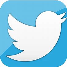 Image result for Twitter Logo 200X