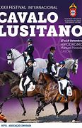 Image result for Bay Lusitano Horse
