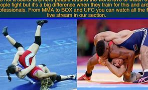 Image result for Wrestling