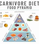 Image result for Raw Meat Diet Full Day Plan