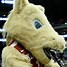 Image result for Kentucky Wildcats Basketball Mascot