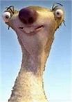 Image result for People Who Look Like Sid the Sloth