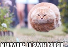 Image result for Soviet Russia Cat Memes