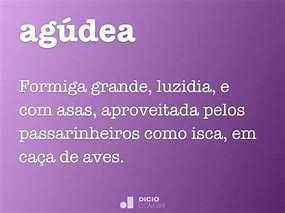Image result for agudea