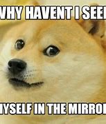 Image result for Dog Mirror Meme