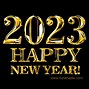 Image result for Happy New Year Lights