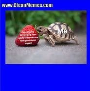 Image result for Answer Me Turtle Meme