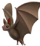 Image result for Apple Cartoon Bat