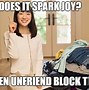 Image result for Spray the Hater Not Cat Meme