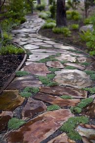 Image result for Star Nursery Pathway Rock